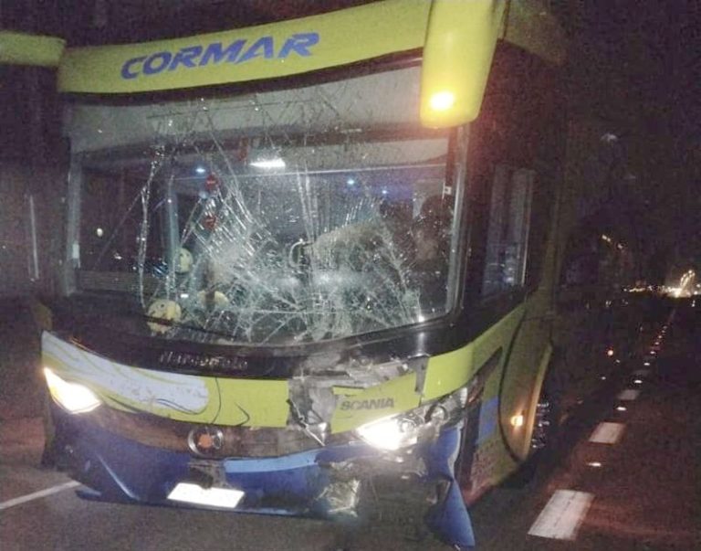 Bus de pasajeros que venía de Ovalle colisiona con caballo en el sector Pan de Azúcar