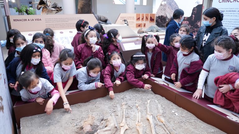 Colegios de Ovalle entre los más beneficiados por exposición de momias Chinchorro