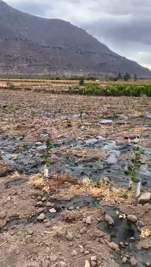 Choapa: Comuneros del sector de Llimpo seguirán movilizados por emergencia ambiental en Salamanca