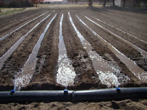 CNR modifica bases del concurso de Pequeña Agricultura para impulsar postulación de proyectos
