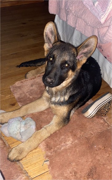 Buscan desesperadamente a THOR