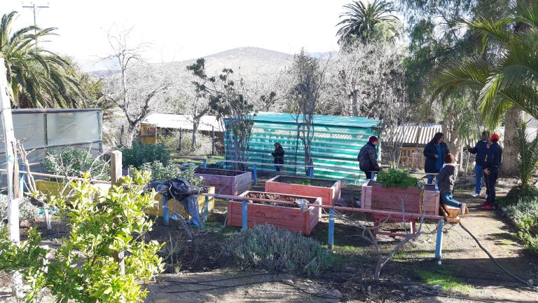 Día de la cosecha en escuela especial Illapel