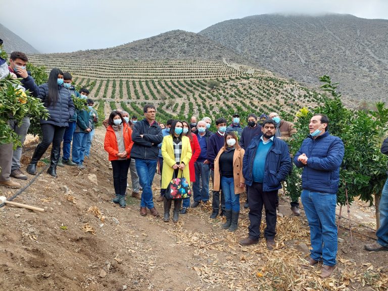Convenio de colaboración busca reencantar a los jóvenes con el trabajo en el campo a través de la tecnología