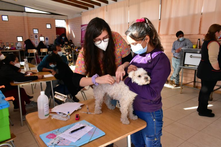 Río Hurtado aprueba ordenanza para proteger a mascotas y animales de compañía
