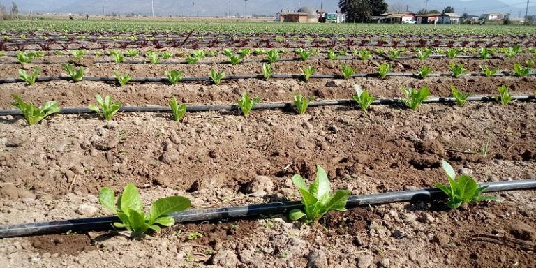Campesinos del Norte Chico podrán mejorar su infraestructura de riego mediante concurso de la CNR