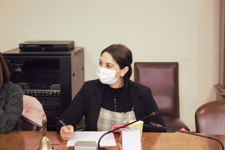 Diputada Castillo solicita ampliación de Brigadas Investigadoras de Delitos contra DDHH en todo Chile