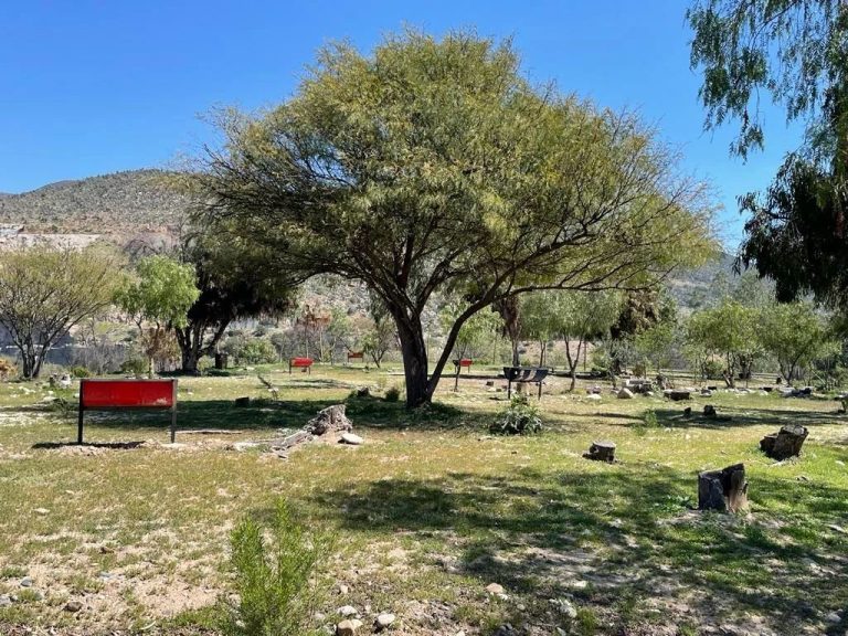 Parque Tamelcura abrirá sus puertas para Fiestas Patrias