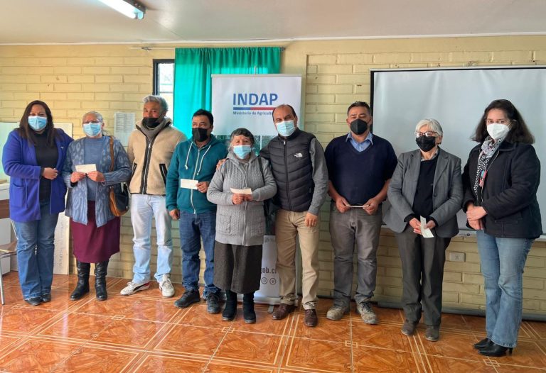 Choapa: Concretan apoyo en la compra de alimento animal y/o apícola para 45 usuarios y usuarias de  Salamanca