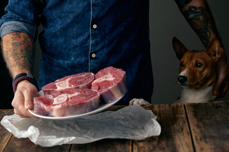 Los riesgos alimentarios para las mascotas en Fiestas Patrias