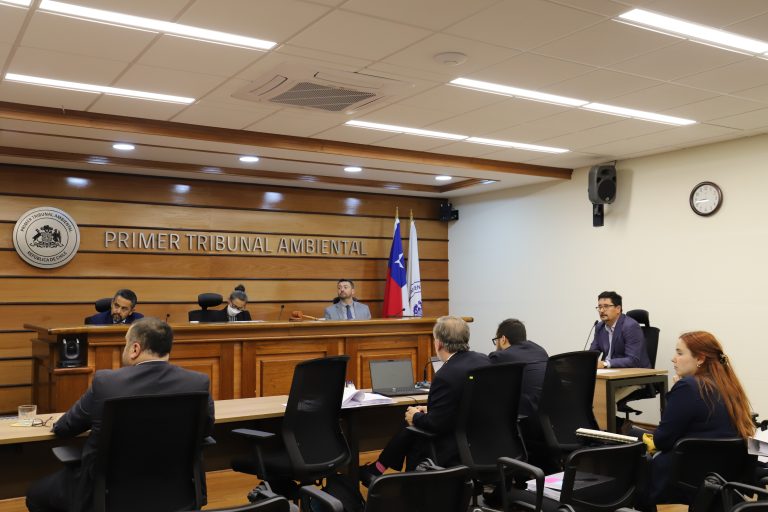 Se efectuó la audiencia de prueba de la demanda por daño ambiental en contra de Minera Los Pelambres