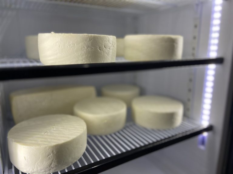 Productores caprinos de Monte Patria denuncian colusión en el pago del queso de cabra