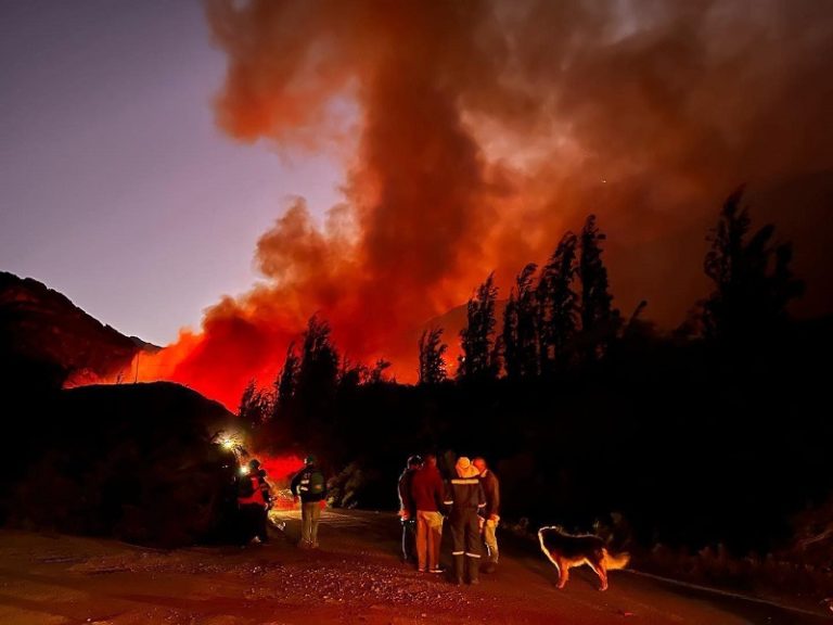 Municipio de Monte Patria presenta querella por delito de incendio forestal