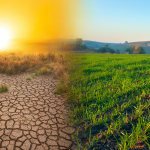 16-11-2022 cambio-climatico