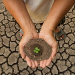 16-11-2022 cambio-climatico2