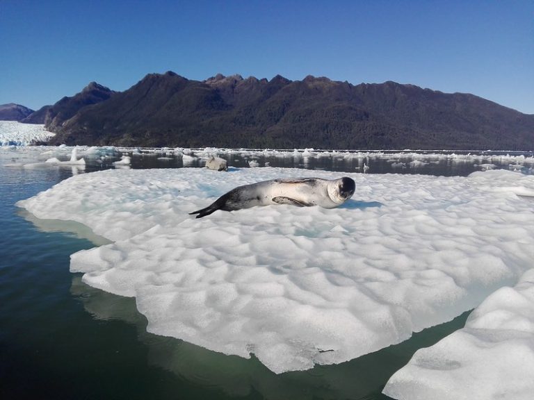 Chile celebra Día Internacional de Reservas de la Biosfera