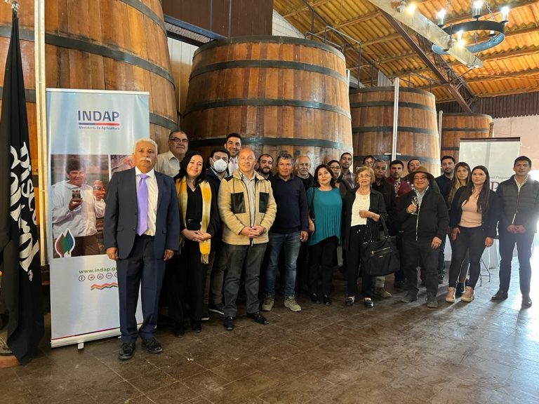 64 productores o productoras serán beneficiados mediante<br>convenio entre INDAP y Cooperativa Control Pisquero