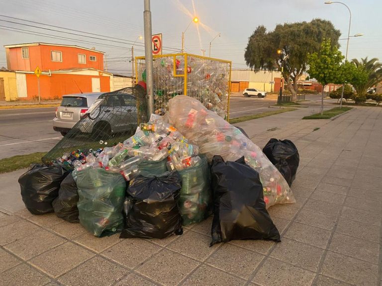 Región de Coquimbo recicló la mayor cantidad de residuos a nivel nacional