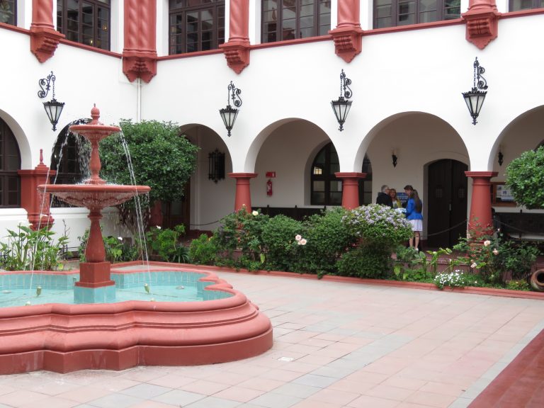 Corte de La Serena ordena a dueña de perros registrarlos y mantenerlos al interior de su propiedad