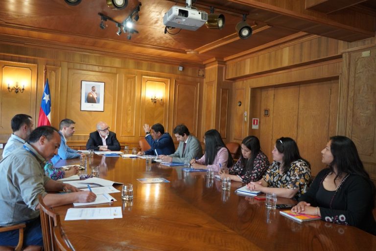 Monte Patria realiza gestiones con el ministro de vivienda para reducir su déficit habitacional
