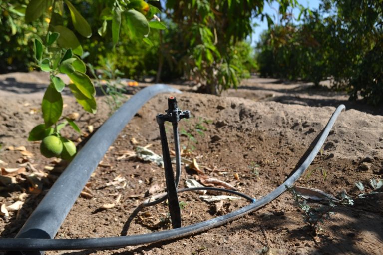 Comunidades agrícolas y pequeños regantes disponen de $600 millones para sus proyectos de riego