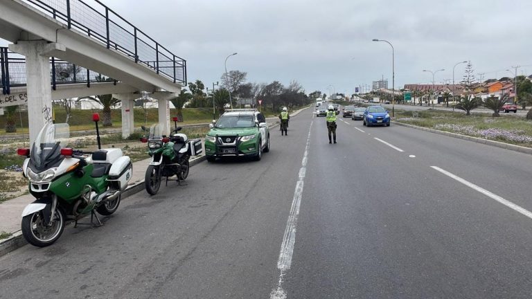 Nueve detenidos y más de 4500 fiscalizaciones en la región tras último fin de semana largo del año