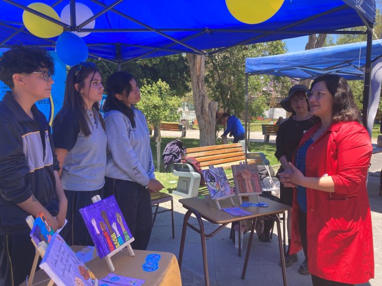 Colegios exponen sobre Formación Ciudadana y Derechos Humanos en muestra realizada en Vicuña