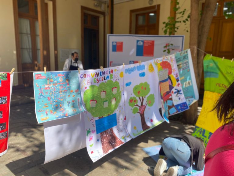 Adolescente de Illapel representará a la región de Coquimbo en Consejo Asesor Consultivo