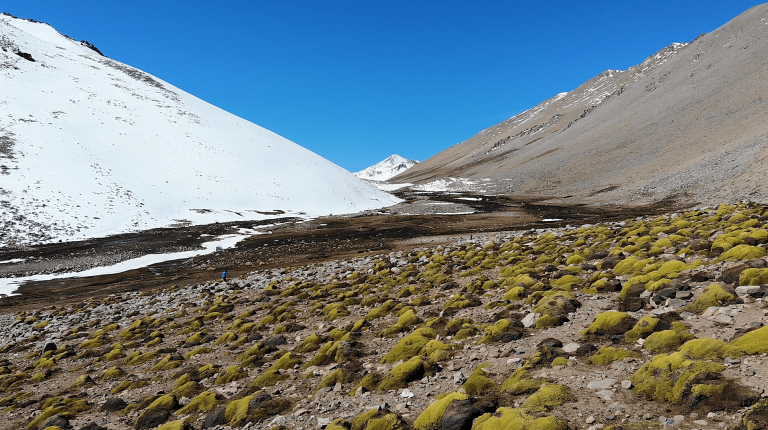 14 mil hectáreas de Monte Patria serán declaradas  Santuario de la Naturaleza
