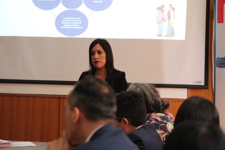 Con foco en la representación jurídica de niños y adolescentes se realizó la 16° comisión de protección