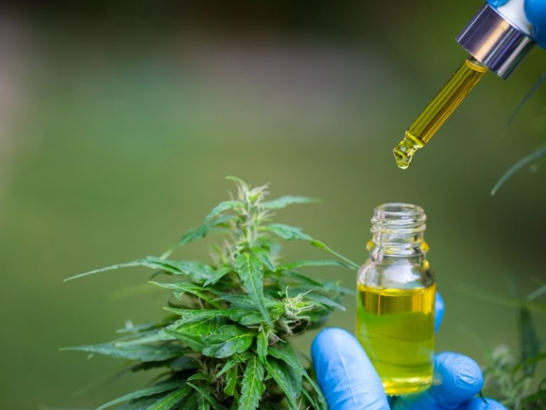 Pacientes usuarios de cannabis: la lucha contra el estigma y la criminalización.