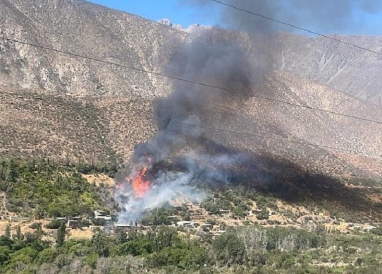 AHORA: Incendio forestal afecta a Colliguay localidad de Monte Patria