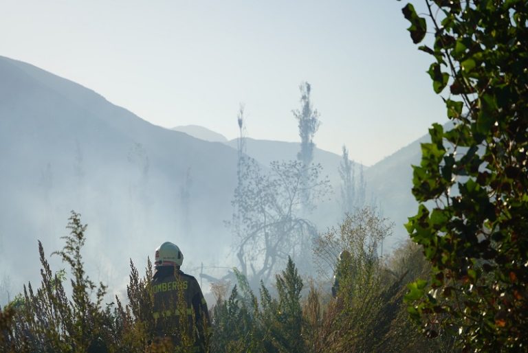 Incendio en Colliguay Bajo, Monte Patria deja 3 hectáreas consumidas y pérdidas en material de riego