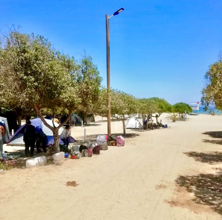 Cerca de 700 personas han disfrutado del Camping Municipal de Tongoy
