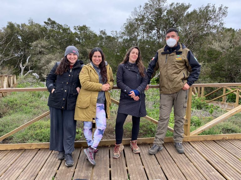 Exposición Artística sobre el Bosque Fray Jorge llega a Los Vilos