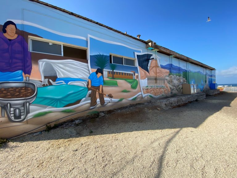 Inauguran mural interactivo de Caleta San Pedro que pone en valor la cultura local
