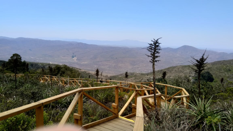 CONAF informa cierre de la cuesta de acceso vehicular al Parque Nacional Bosque Fray Jorge 