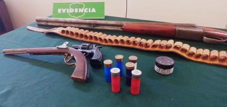 Carabineros decomisa 3 armas en operativo en la Media Hacienda