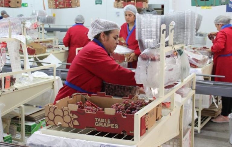 Tasa de Desocupación registra octavo descenso consecutivo y se sitúa en 8,6% en el periodo noviembre 2022-enero 2023