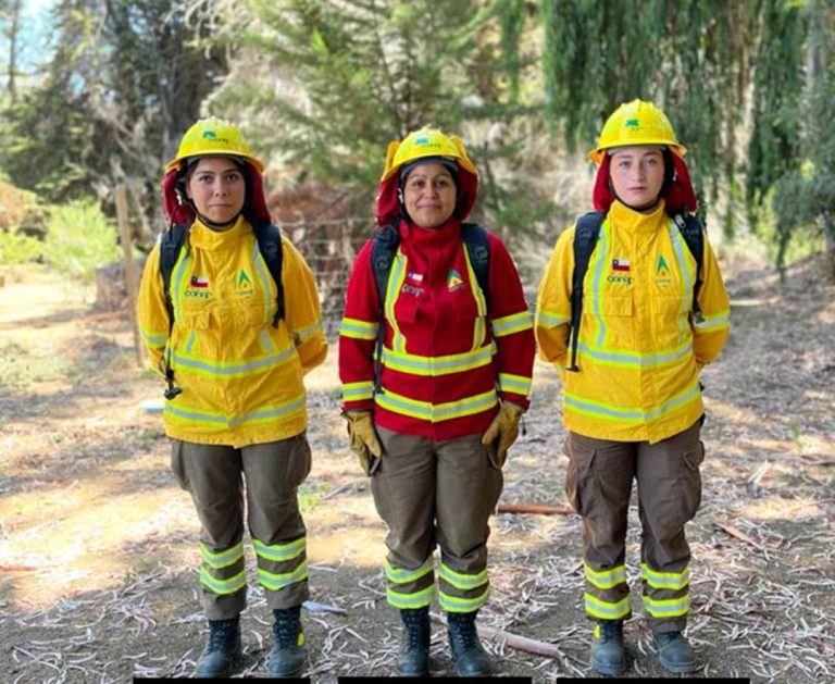 Autoridades destacan la labor de Brigadistas Forestales en la región de Coquimbo