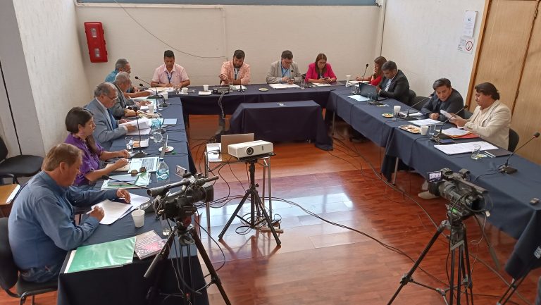 Concejo Municipal aprobó más de 25 millones de pesos en subvenciones para organizaciones sociales