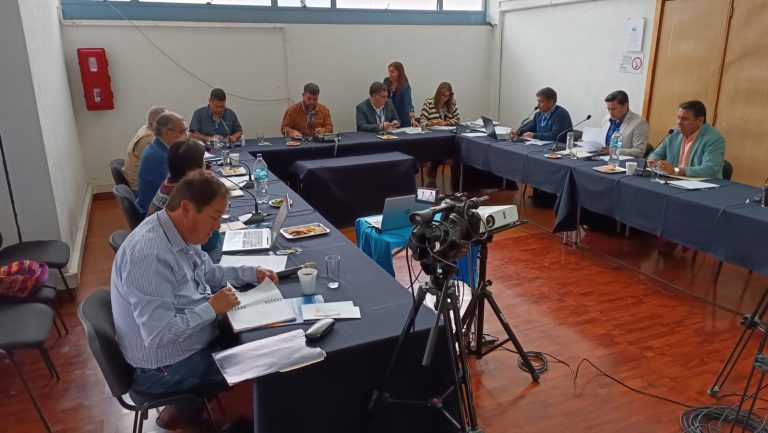 Concejo Municipal aprobó ocho millones de pesos en  subvenciones para organizaciones locales