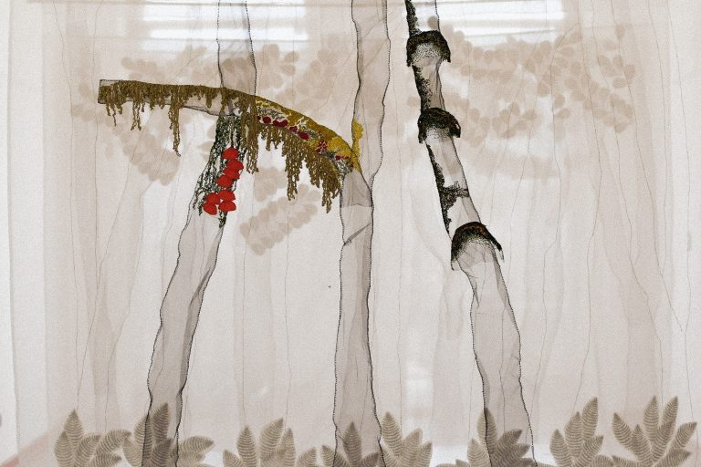 Exposición artística sobre el bosque Fray Jorge se presenta en Los Vilos