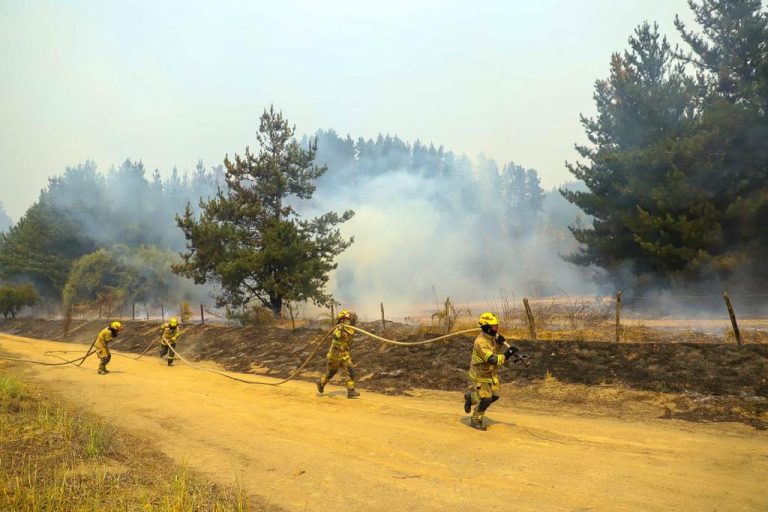 Comprometen recursos para combate de incendios forestales y para ayudas a personas afectadas en la zona centro sur del país