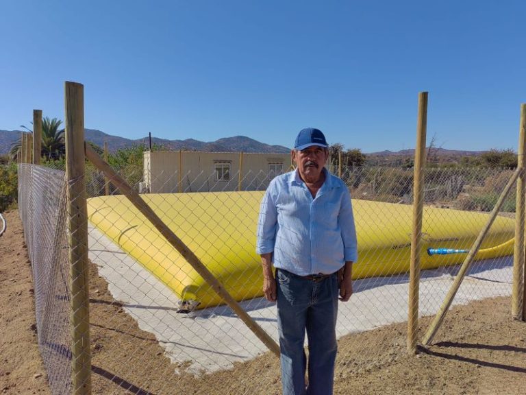 Combarbalino se dedica al rescate de semillas nativas