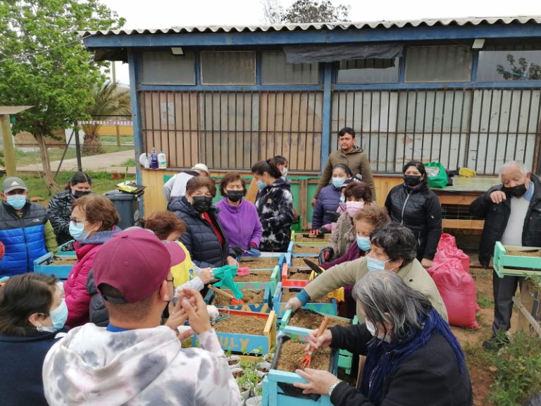 160 adultos mayores son parte del Programa Vínculos en Ovalle