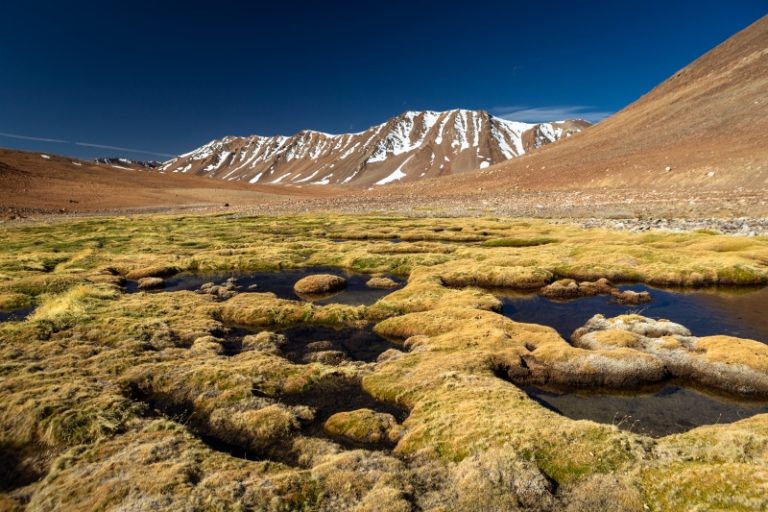 Más de $700 millones destinarán a nuevo fondo nacional para gestión ambiental