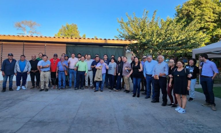 Pequeños mineros piden aprobar royalty a la gran minería del cobre