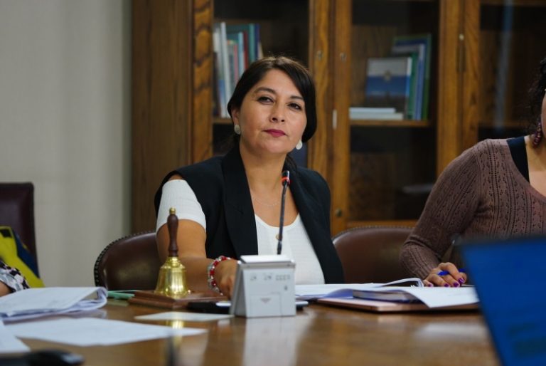 Comisión investigadora sobre posible contaminación de Minera Los Pelambres reúne las firmas y pasa a votación en sala