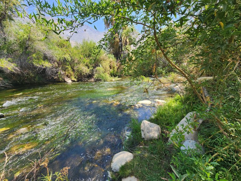 Inician participación para declarar humedal urbano al río Grande