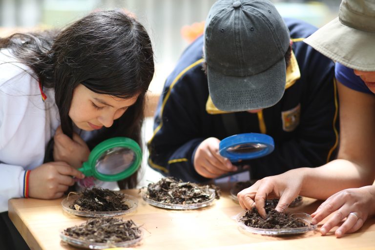 Concurso medioambiental invita a niños de Coquimbo a ser  exploradores de su entorno natural